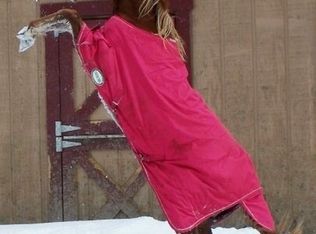 11466 Bell St, Newbury, OH 44065