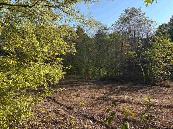 N Fm 607, Brownsboro, TX 75756