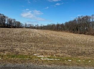 22 Brooks St Lot C, Spencer, NY 14883