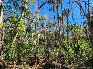 10103 W Main St, Homosassa, FL 34448