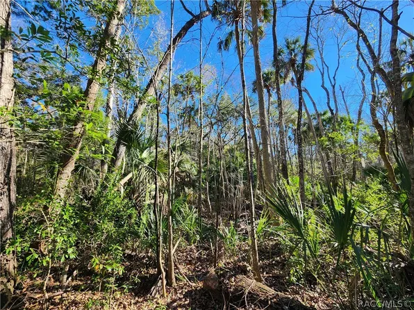 10103 W Main St, Homosassa, FL 34448