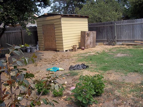 Shed in Backyard