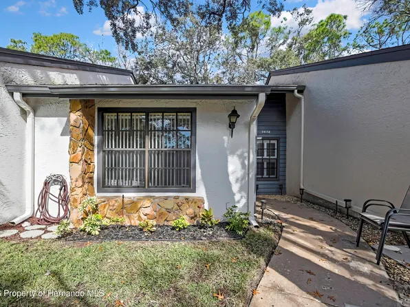 6365 Nature Preserve Ln, Spring Hill, FL 34606