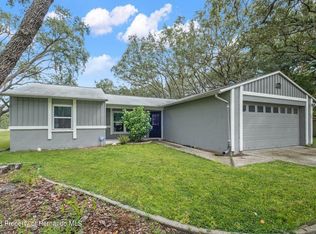 8245 Joel St, Spring Hill, FL 34606