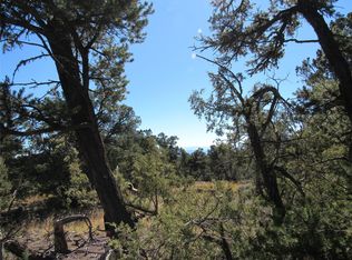 57 Servilleta, Tres Piedras, NM 87577