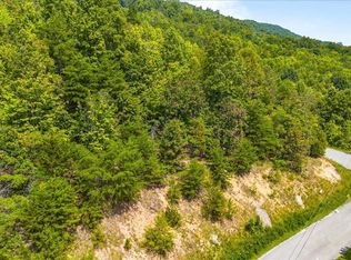 673 Chimney Rock Rd, New Tazewell, TN 37825