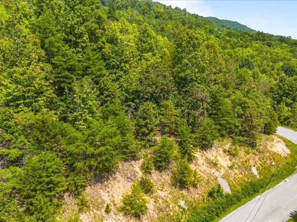 673 Chimney Rock Rd, New Tazewell, TN 37825