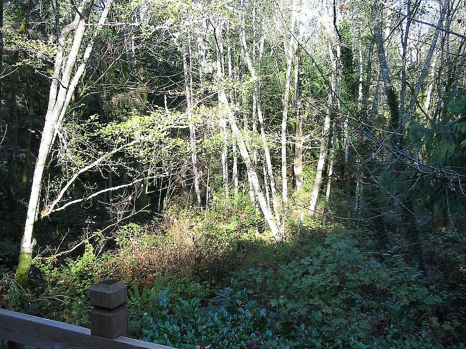 View of woods in back