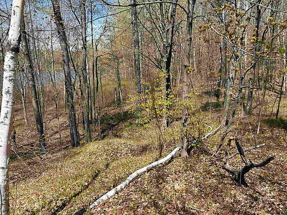 3rd image of 854x W Chub Lake Rd