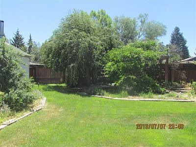 Back yard