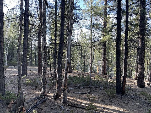 4th image of 90 W Mammoth View Dr