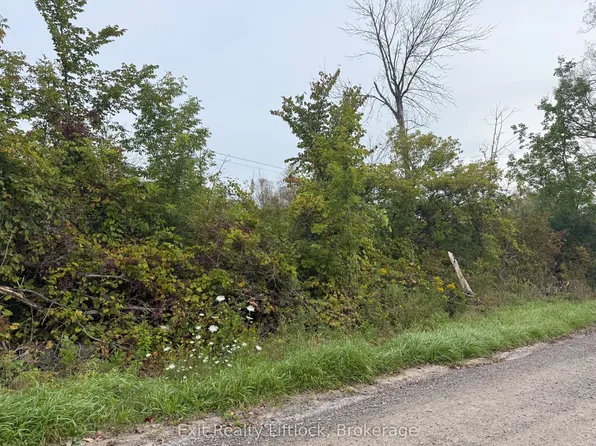 0 Bagley Rd, Trent Hills, ON K0K 3K0