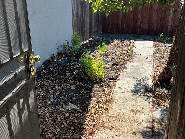 142 Alturas Ave #D — Photo 32