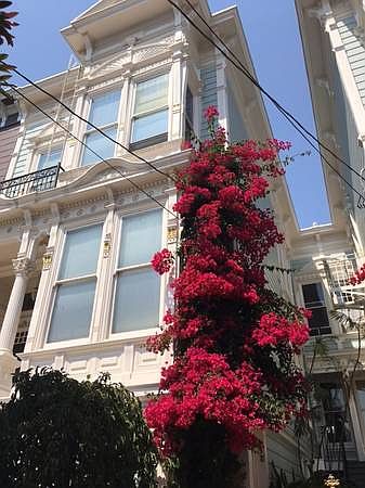 1st image of 232 Waller St