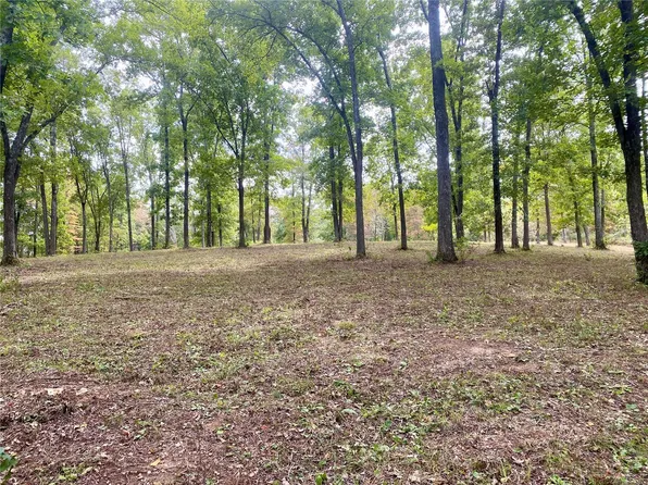 0 White Tail Dr, Fredericktown, MO 63645