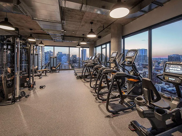 Marlowe Apartments Chicago Fitness Center View of City