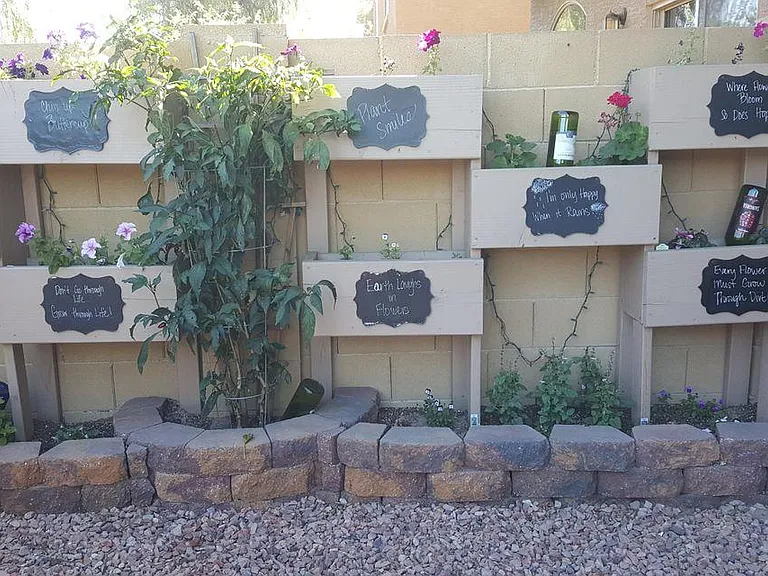 Backyard3
