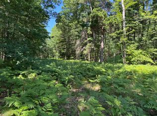 Arquilla Creek Rd, Harrietta, MI 49638