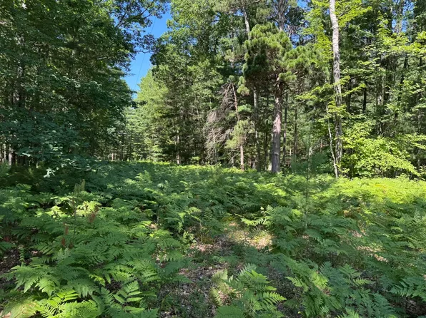 Arquilla Creek Rd, Harrietta, MI 49638