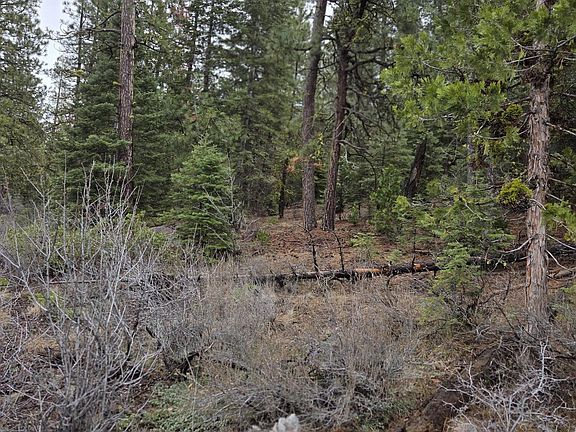 3rd image of 0 E Yak Highway Ln #140