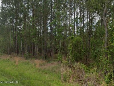 Cardinal St Lot 12, Bay Saint Louis, MS, 39520