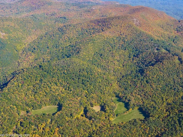 1575 Lloyd Cove Road, Scaly Mountain, NC 28775