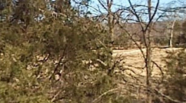 1st image of W Highway 156