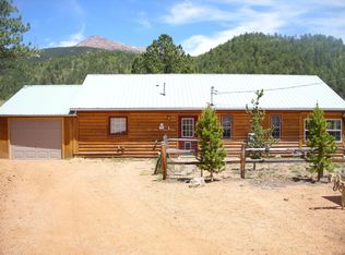 443 Beaver Pond Rd, Divide, CO 80814