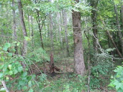 0 Bonner Rd, Mountain Rest, SC, 29664