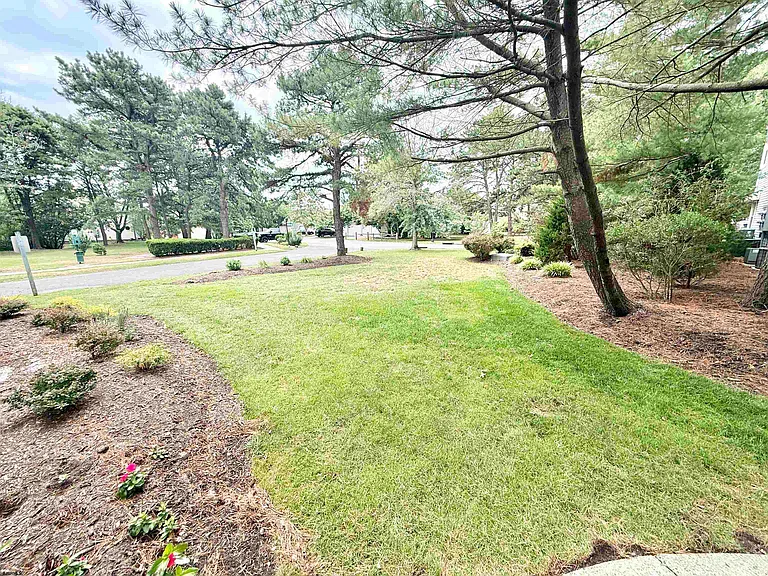 156 Driftwood Ct — Photo 16