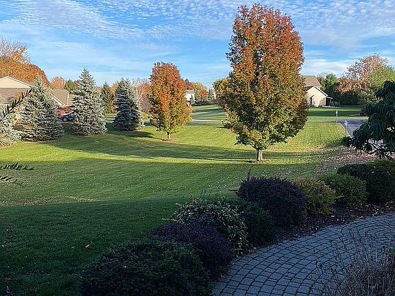 Front Yard