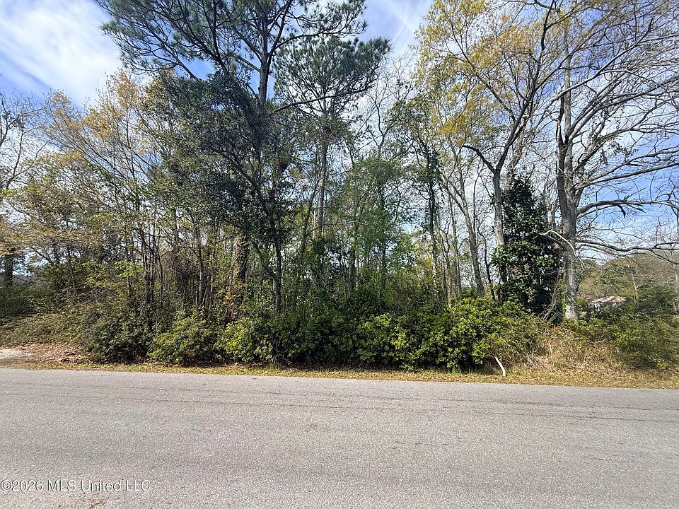 2nd image of Mattson St Lot 420