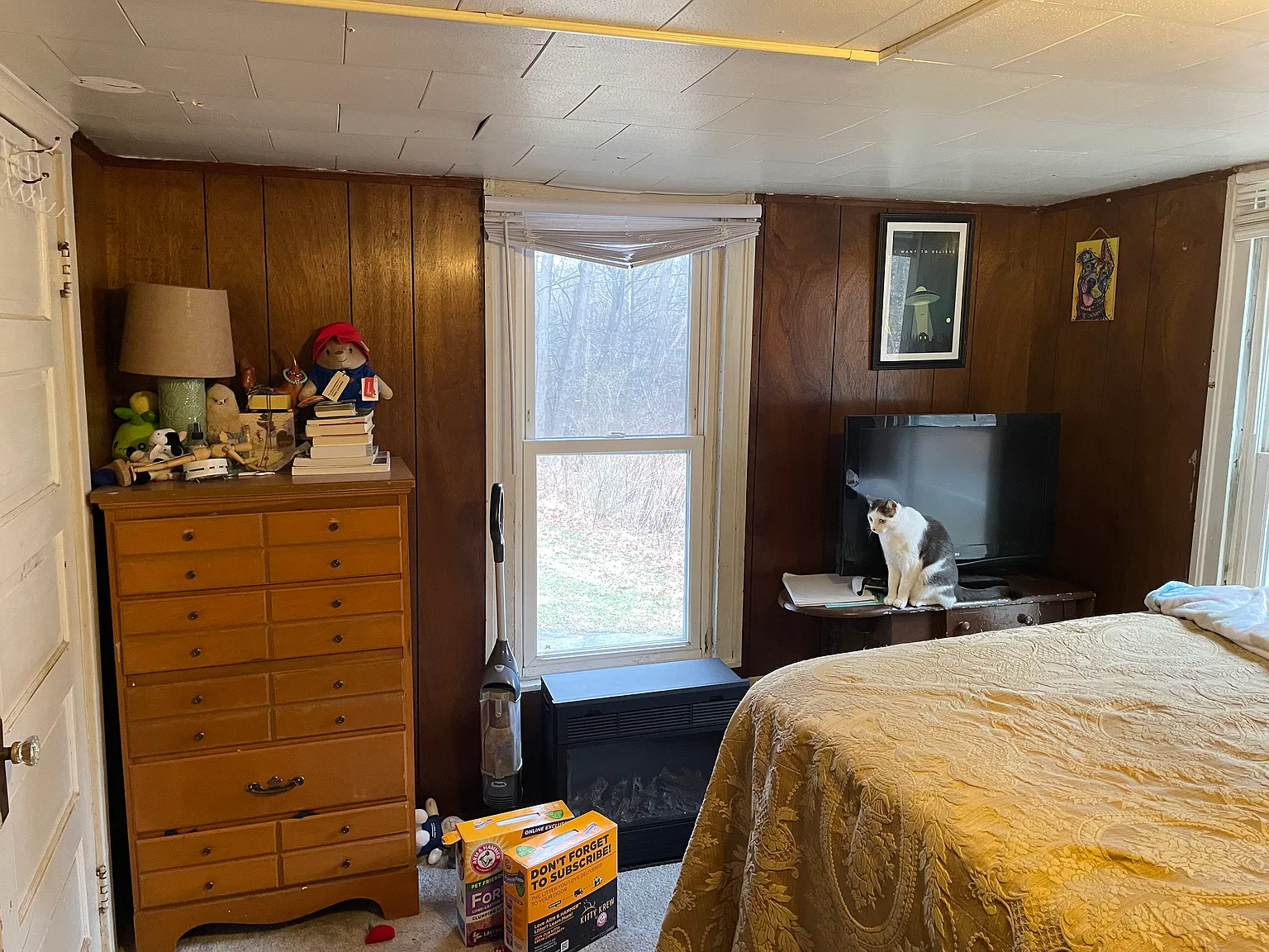 1 bed, 600 sqft, $800 — Photo 1