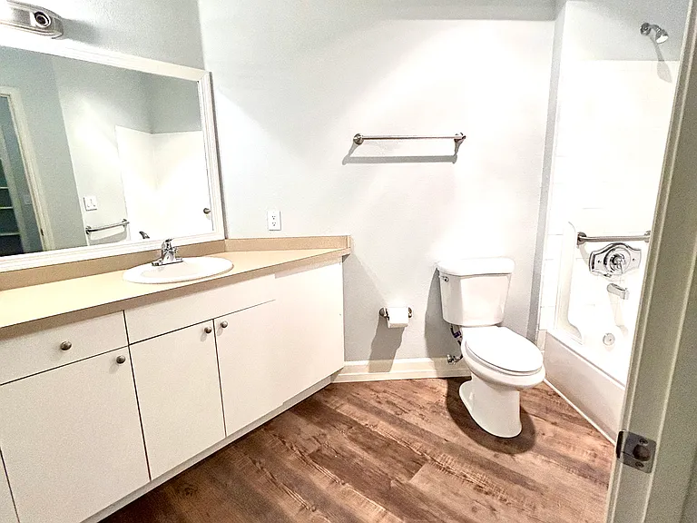 Lower level full bath