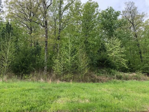Mountain Ridge Rd, Batesville, AR 72501