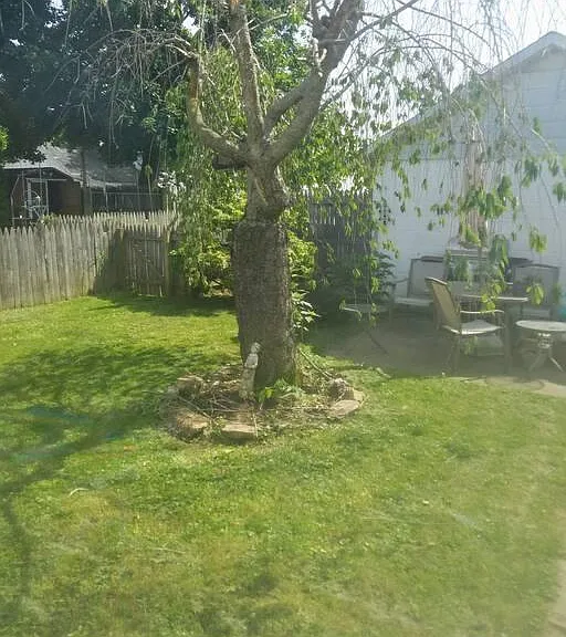 270 Bates St — Photo 7
