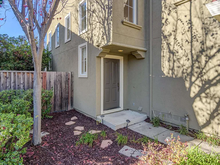 135 Coralflower Ln — Photo 5