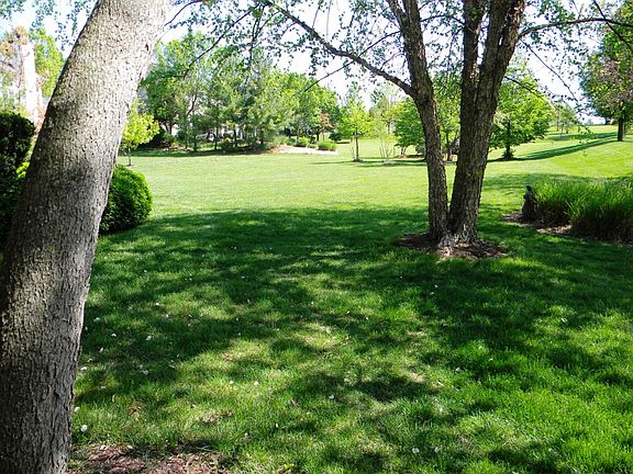 Large Lot backs to open land