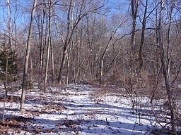 1st image of 90 Chestnut Hill Rd