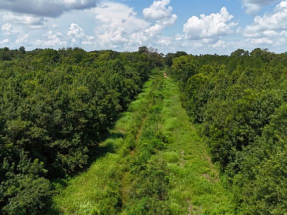 3rd image of Marcel St