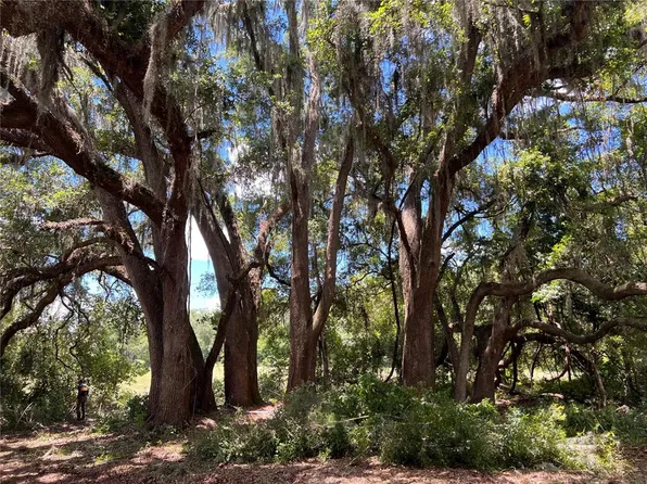 17364 SW 11 COURT, NEWBERRY, FL 32669