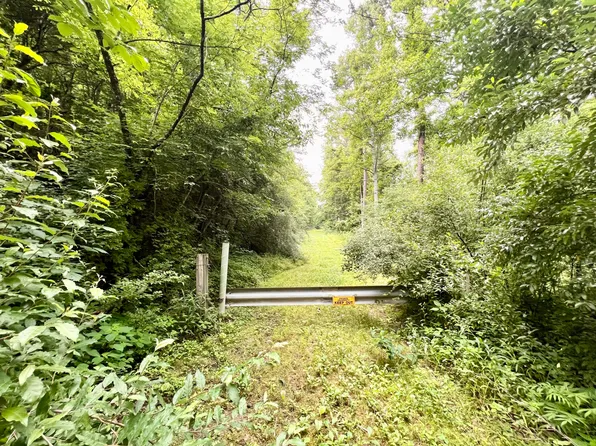 0 Fannin Roscoe Rd, Sandy Hook, KY 41171