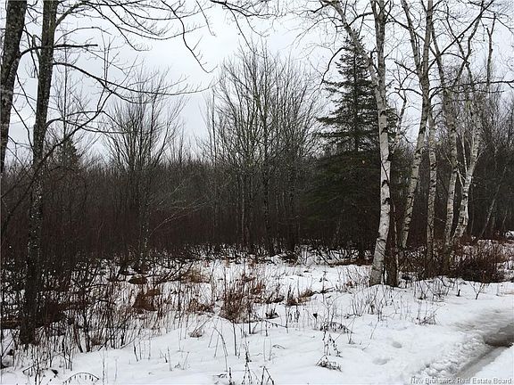 5th image of 263 McNairn Rd