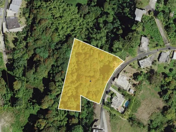 Montellano, Las Piedras, PR 00771