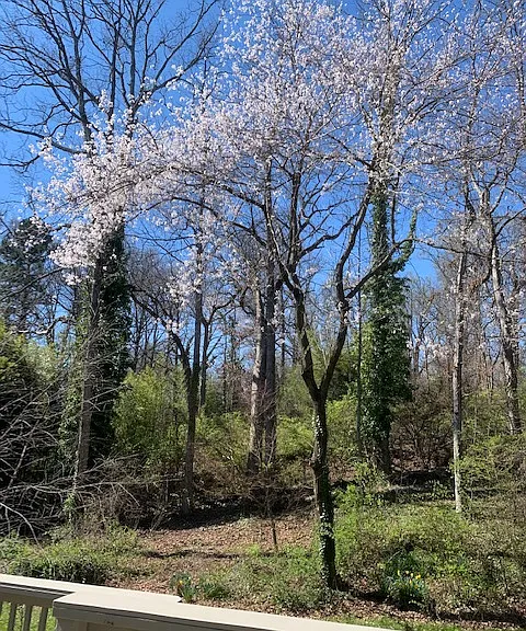 Ashley Dr — Photo 9