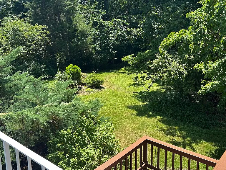 backyard and deck