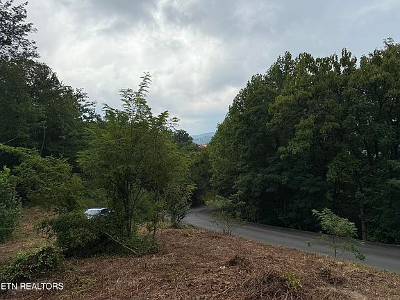 5th image of LOT 108 Smoky Vista Way