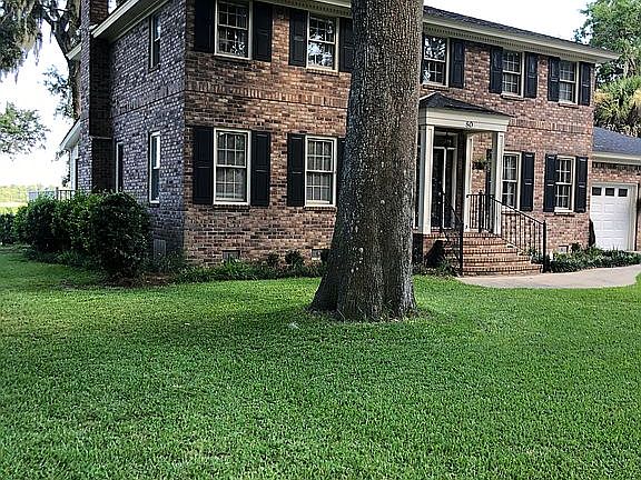 5' Diameter Live Oak