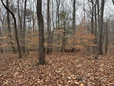 LOT 24 Old Post Rd, Moneta, VA, 24121