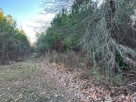 2nd image of 0 Hutchins Ave #150.001